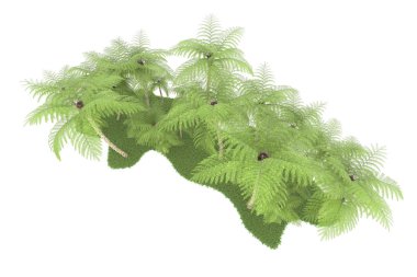 Beyaz arka planda izole edilmiş palmiye ağaçları adası. 3d görüntüleme - illüstrasyon