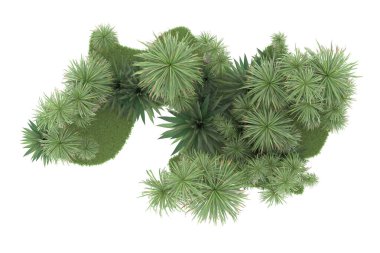 Doğal bitki örtüsü kavramı, gerçekçi palmiye ağaçları kopya alanı için beyaz arkaplanda izole edilmiş