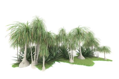 Beyaz arka planda izole edilmiş palmiye ağaçları adası. 3d görüntüleme - illüstrasyon