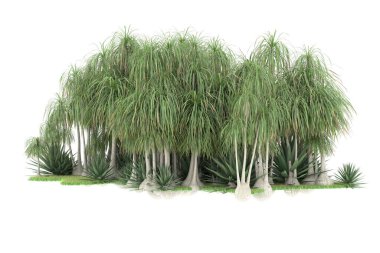 Beyaz arka planda izole edilmiş palmiye ağaçları adası. 3d görüntüleme - illüstrasyon