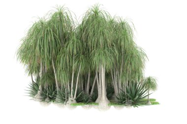 Beyaz arka planda izole edilmiş palmiye ağaçları adası. 3d görüntüleme - illüstrasyon