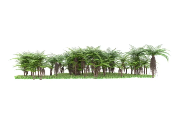 背景孤立的热带森林 3D渲染 — 图库照片