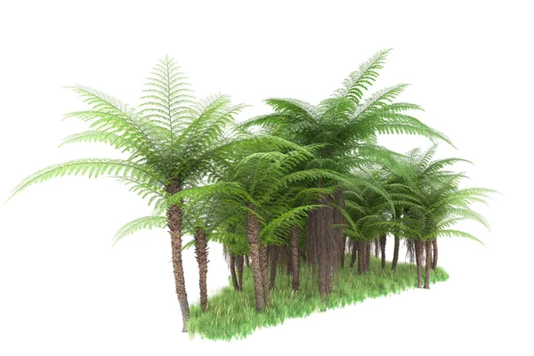 Arka planda izole tropikal orman. 3d görüntüleme - illüstrasyon