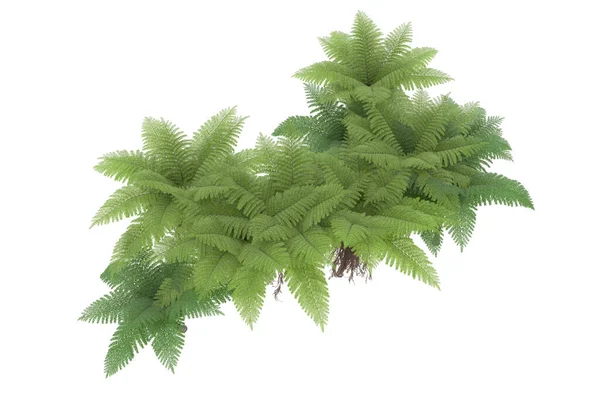 Arka planda izole tropikal orman. 3d görüntüleme - illüstrasyon