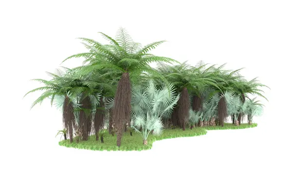 Тропічний Ліс Ізольований Фоні Візуалізація Ілюстрація — стокове фото