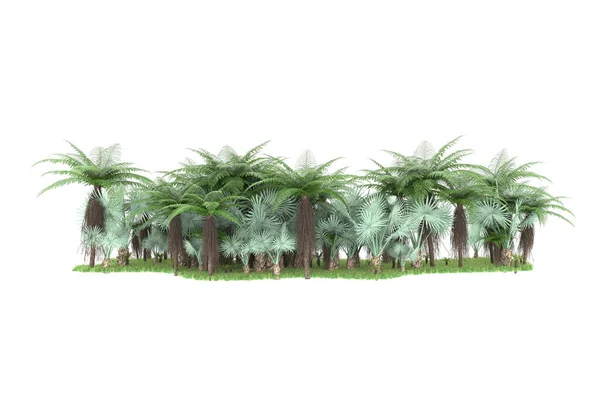背景に孤立した熱帯林 3Dレンダリング イラスト — ストック写真
