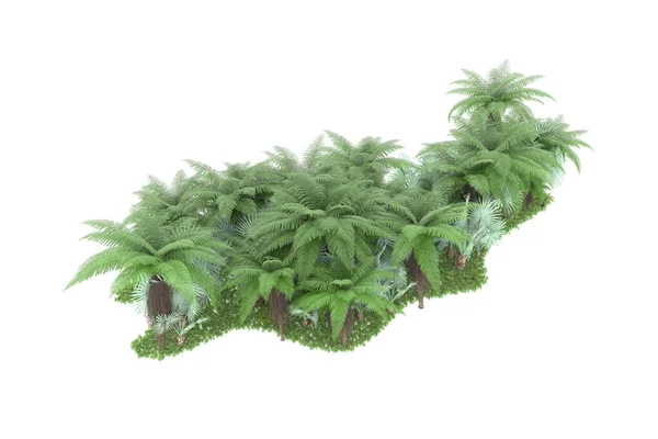 背景に孤立した熱帯林 3Dレンダリング イラスト — ストック写真
