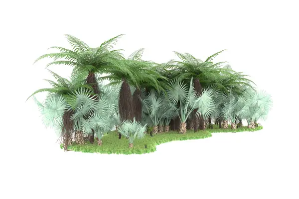 Arka Planda Izole Tropikal Orman Görüntüleme Illüstrasyon — Stok fotoğraf
