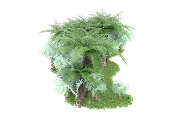 Тропический Лес Изолирован Заднем Плане Рендеринг Иллюстрация — стоковое фото
