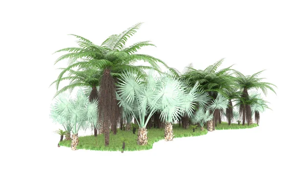 Tropenwald Isoliert Hintergrund Darstellung Illustration — Stockfoto