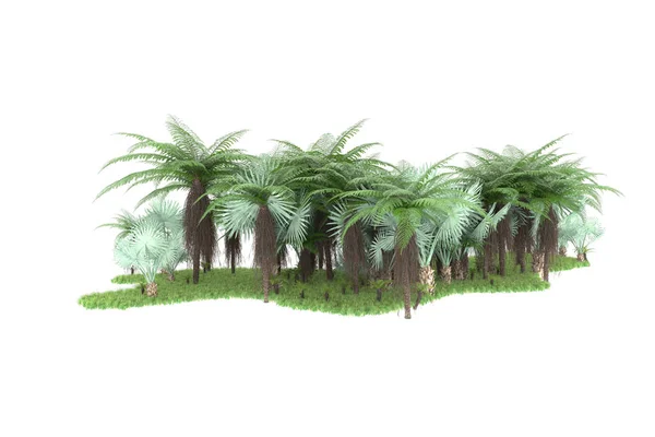 Bosque Tropical Aislado Sobre Fondo Representación Ilustración — Foto de Stock