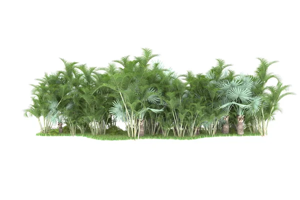 Arka Planda Izole Tropikal Orman Görüntüleme Illüstrasyon — Stok fotoğraf