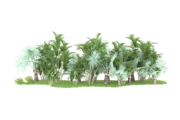Nature Flora Concept Realistic Palm Trees Isolated White Background Copy — Stock Photo, Image