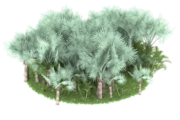 Doğal Bitki Örtüsü Kavramı Gerçekçi Palmiye Ağaçları Kopya Alanı Için — Stok fotoğraf
