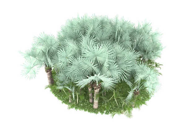 背景孤立的热带森林 3D渲染 — 图库照片