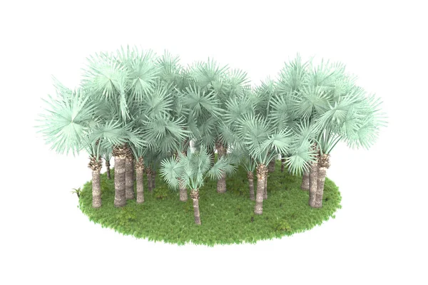 Bosque Tropical Aislado Sobre Fondo Representación Ilustración — Foto de Stock