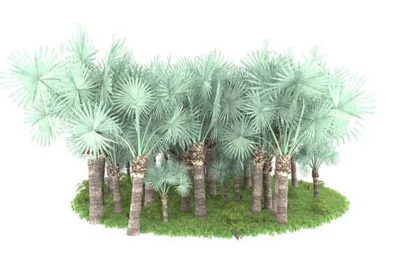 Tropický Les Izolovaný Pozadí Vykreslování Ilustrace — Stock fotografie