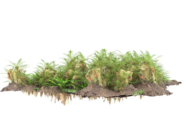 Arka planda izole tropikal orman. 3d görüntüleme - illüstrasyon