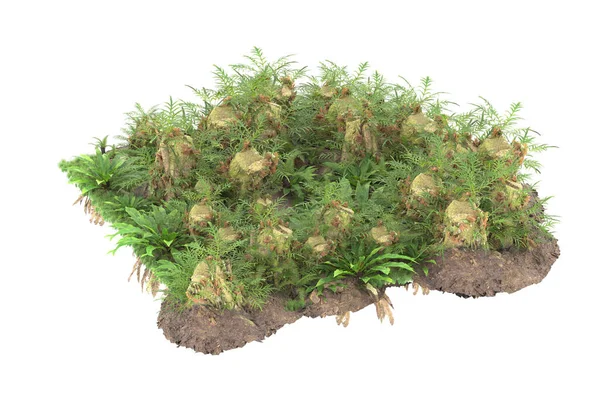 Arka planda izole tropikal orman. 3d görüntüleme - illüstrasyon