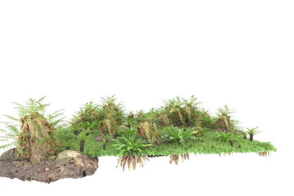 Тропический Лес Изолирован Заднем Плане Рендеринг Иллюстрация — стоковое фото