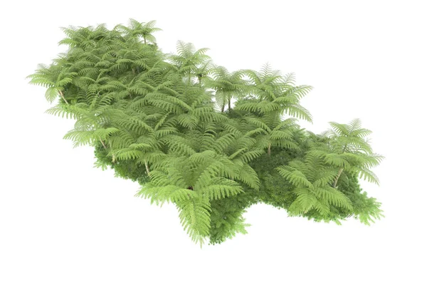 Arka planda izole tropikal orman. 3d görüntüleme - illüstrasyon