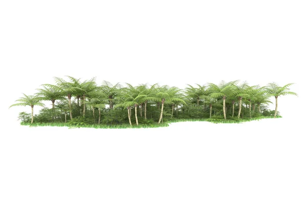 Tropisch Bos Geïsoleerd Achtergrond Weergave Illustratie — Stockfoto