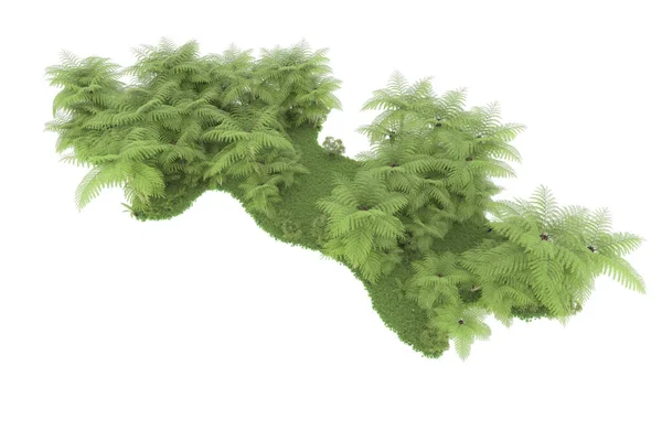 Tropisch Bos Geïsoleerd Achtergrond Weergave Illustratie — Stockfoto