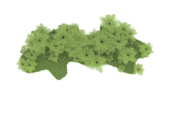自然植物区系的概念 现实的棕榈树隔离在白色背景下复制空间 — 图库照片