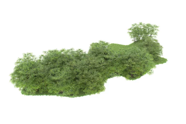 自然のフローラの概念 コピースペースのための白い背景で隔離された現実的なヤシの木 — ストック写真