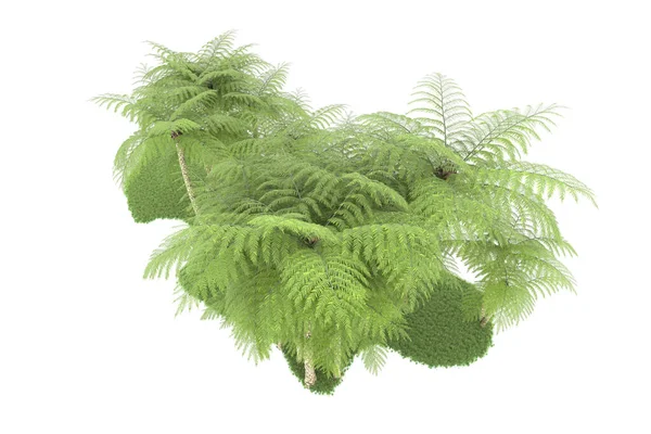 Beyaz arka planda izole edilmiş palmiye ağaçları adası. 3d görüntüleme - illüstrasyon