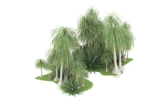 Doğal Bitki Örtüsü Kavramı Gerçekçi Palmiye Ağaçları Kopya Alanı Için — Stok fotoğraf