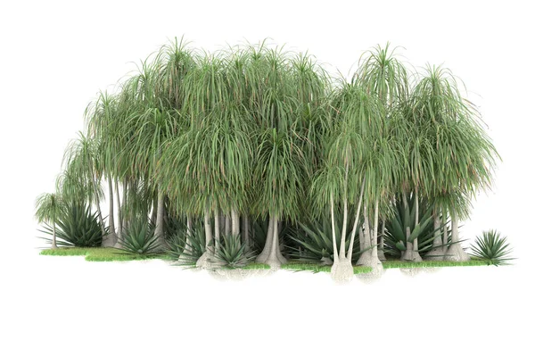 Beyaz arka planda izole edilmiş palmiye ağaçları adası. 3d görüntüleme - illüstrasyon