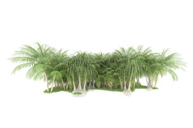 Beyaz arka planda izole edilmiş palmiye ağaçları adası. 3d görüntüleme - illüstrasyon