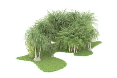 Beyaz arka planda izole edilmiş palmiye ağaçları adası. 3d görüntüleme - illüstrasyon