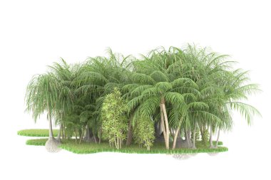 Beyaz arka planda izole edilmiş palmiye ağaçları adası. 3d görüntüleme - illüstrasyon