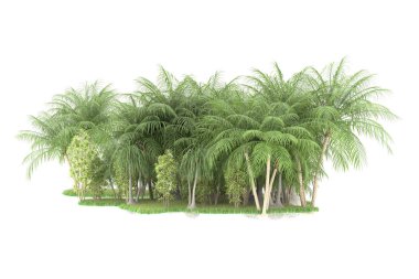 Beyaz arka planda izole edilmiş palmiye ağaçları adası. 3d görüntüleme - illüstrasyon