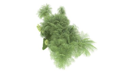 Beyaz arka planda izole edilmiş palmiye ağaçları adası. 3d görüntüleme - illüstrasyon