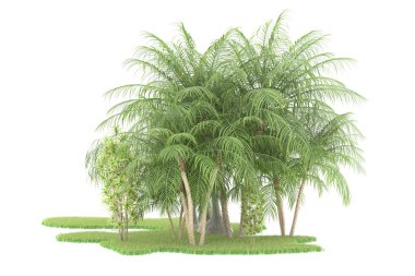 Beyaz arka planda izole edilmiş palmiye ağaçları adası. 3d görüntüleme - illüstrasyon