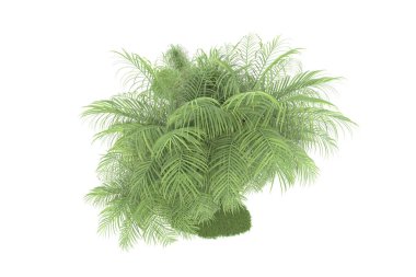 Beyaz arka planda izole edilmiş palmiye ağaçları adası. 3d görüntüleme - illüstrasyon