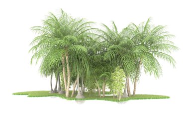 Beyaz arka planda izole edilmiş palmiye ağaçları adası. 3d görüntüleme - illüstrasyon