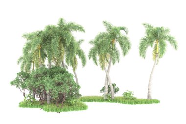 Beyaz arka planda izole edilmiş palmiye ağaçları adası. 3d görüntüleme - illüstrasyon
