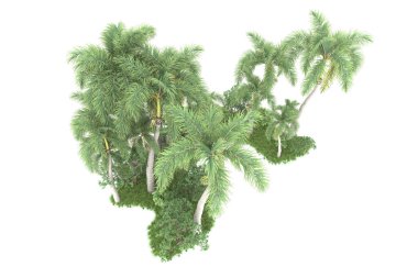 Beyaz arka planda izole edilmiş palmiye ağaçları adası. 3d görüntüleme - illüstrasyon