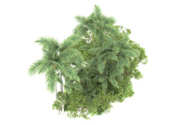 Beyaz arka planda izole edilmiş palmiye ağaçları adası. 3d görüntüleme - illüstrasyon