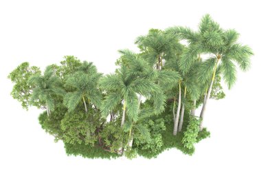 Beyaz arka planda izole edilmiş palmiye ağaçları adası. 3d görüntüleme - illüstrasyon