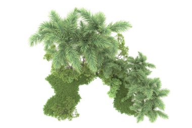 Beyaz arka planda izole edilmiş palmiye ağaçları adası. 3d görüntüleme - illüstrasyon