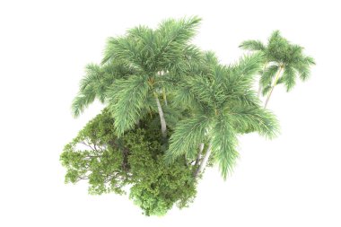 Beyaz arka planda izole edilmiş palmiye ağaçları adası. 3d görüntüleme - illüstrasyon