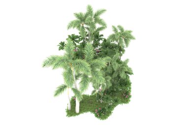 Beyaz arka planda izole edilmiş palmiye ağaçları adası. 3d görüntüleme - illüstrasyon