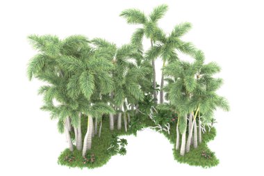 Beyaz arka planda izole edilmiş palmiye ağaçları adası. 3d görüntüleme - illüstrasyon
