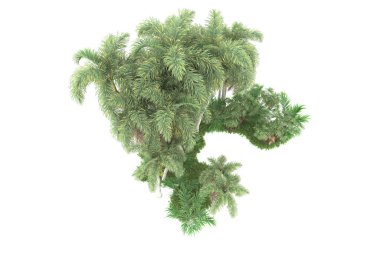 Beyaz arka planda izole edilmiş palmiye ağaçları adası. 3d görüntüleme - illüstrasyon