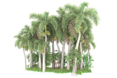 Beyaz arka planda izole edilmiş palmiye ağaçları adası. 3d görüntüleme - illüstrasyon